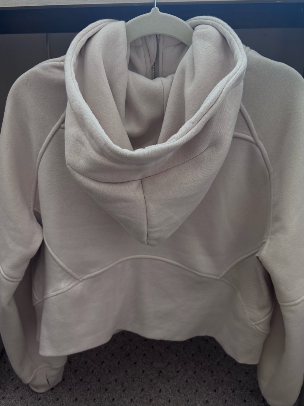 Manifest Cropped Hooded Sweatshirt in Light Taupe✨